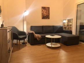Apartament Ultracentral, Universitate